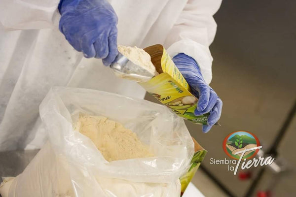 Harina - Restaurante